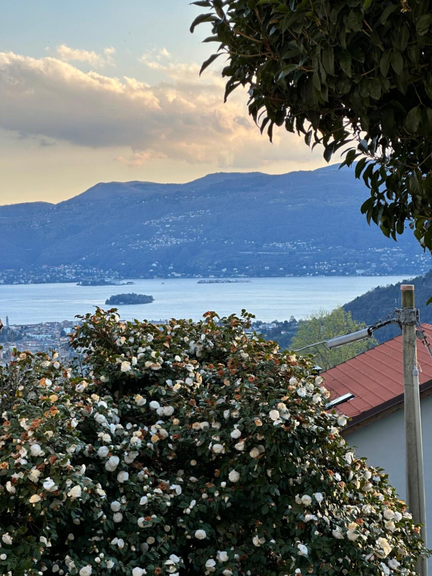 Bee Villa Simonetta מראה חיצוני תמונה
